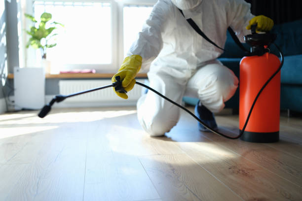 Reliable Odor Removal contractor in Summerland, CA by Trauma Clean Pros